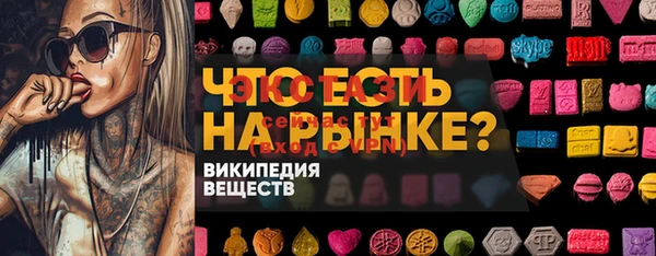 СК Горнозаводск