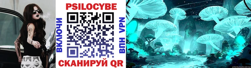 Псилоцибиновые грибы Cubensis  Новошахтинск 