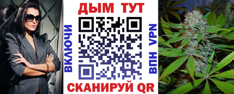 сколько стоит  darknet клад  Бошки марихуана семена  Новошахтинск 